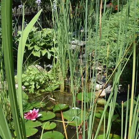 公寓 Przekop 斯洛莫夫采维日奈