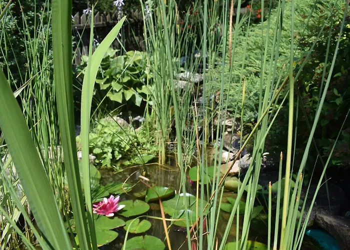 Apartment Przekop Sromowce Wyzne